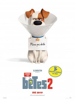 gktorrent Comme des bêtes 2 FRENCH Bluray 720p 2019