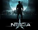 gktorrent Ninja DVDRIP FRENCH 2009